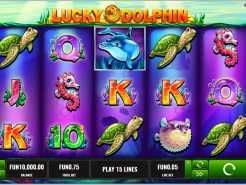 Lucky Dolphin